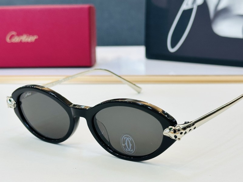 CARTIER SUNGLASSES-041