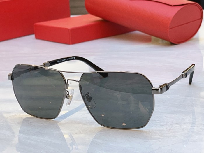 CARTIER SUNGLASSES-041