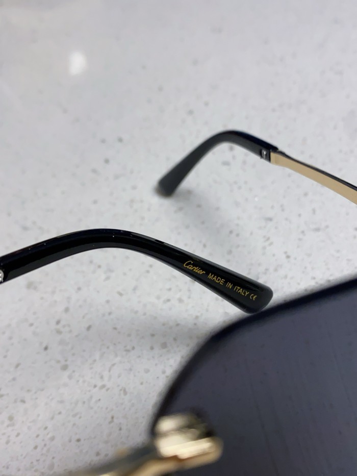 CARTIER SUNGLASSES-09