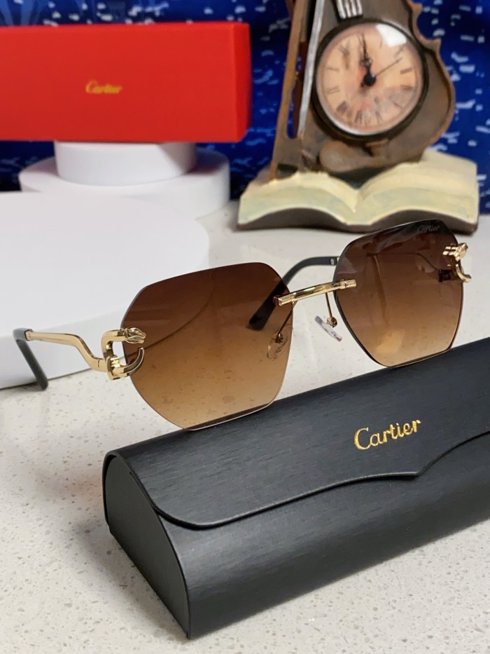 CARTIER SUNGLASSES-09