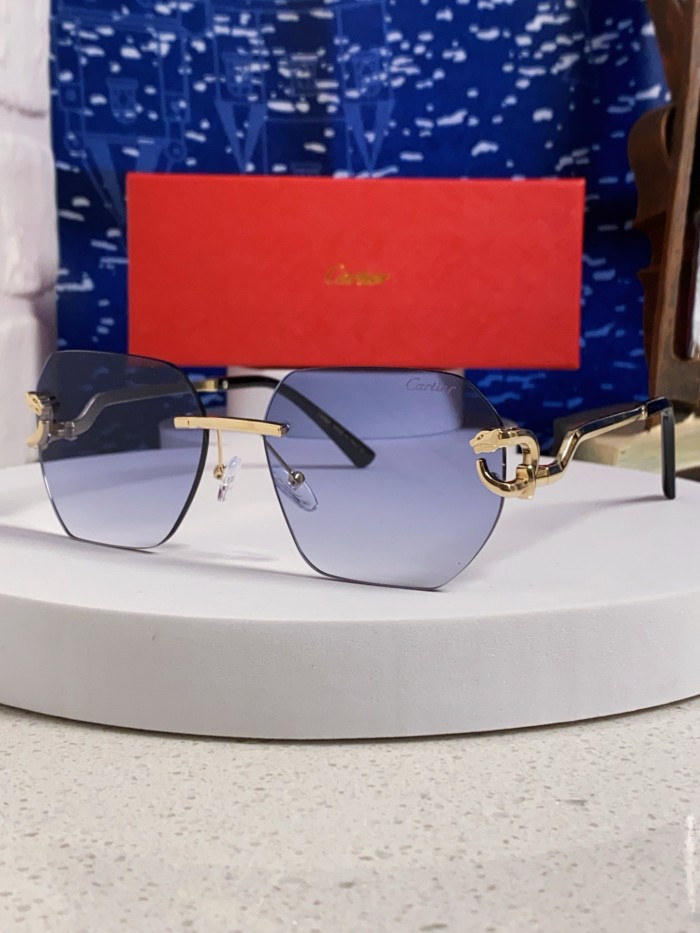 CARTIER SUNGLASSES-09