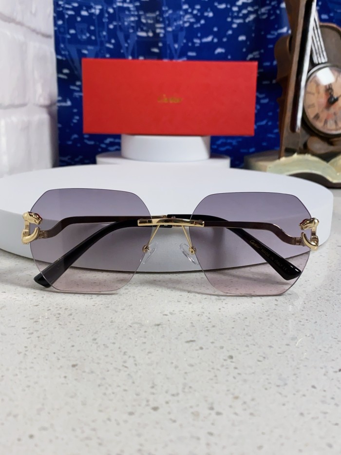 CARTIER SUNGLASSES-09