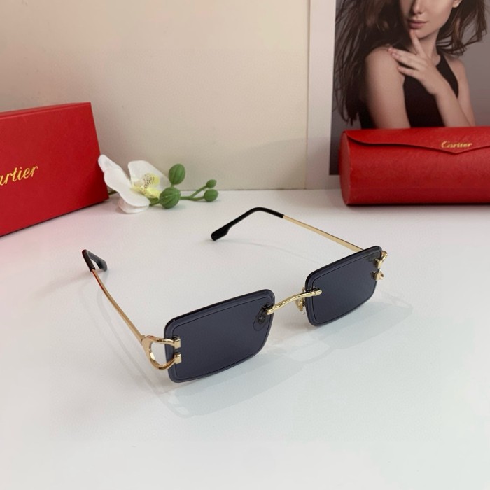CARTIER SUNGLASSES-58