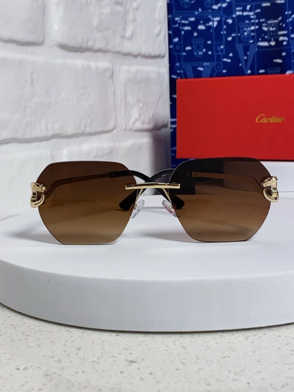 CARTIER SUNGLASSES-09