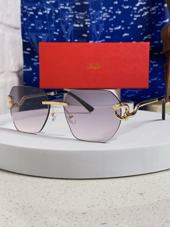 CARTIER SUNGLASSES-09