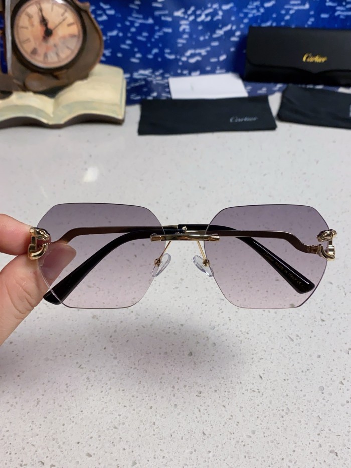 CARTIER SUNGLASSES-09
