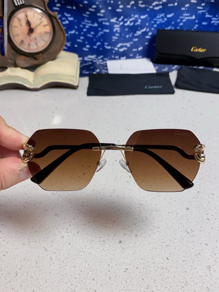 CARTIER SUNGLASSES-09