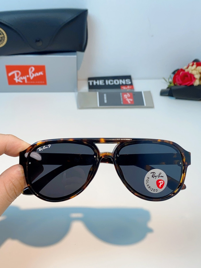 RAYBAN SUNGLASSES-501