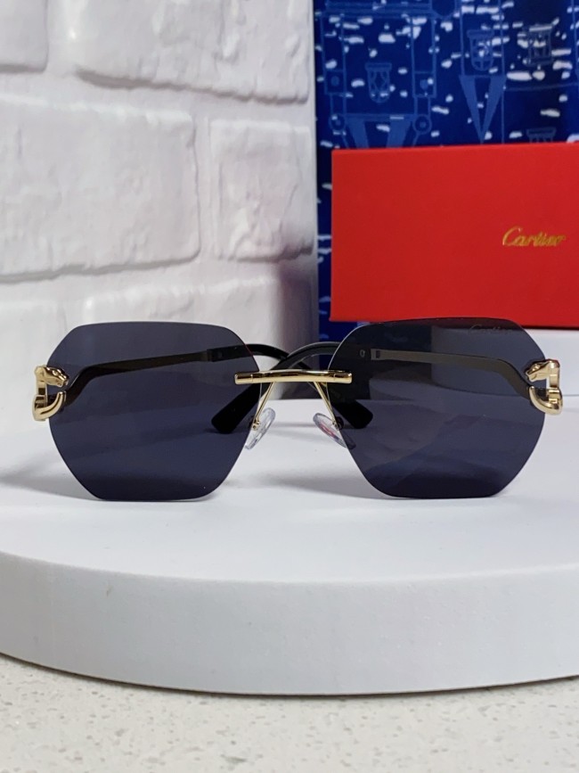 CARTIER SUNGLASSES-09