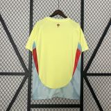 Spain Euro cup jersey 24/25 away shirt