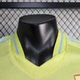 Spain Euro cup jersey 24/25 away Player shirt