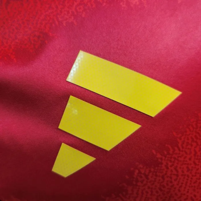 Spain Euro cup jersey 24/25 home Player shirt