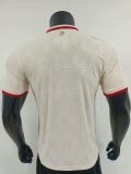 Bayern Munich Player jersey 24/25 2away kit shirt