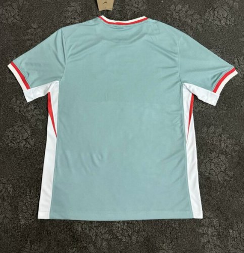 Atletico Madrid jersey 24/25 away kit shirt