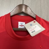 England 2010 away retro jersey shirt kit
