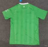 Manchester United 25/26 Goalkeeper jersey kit