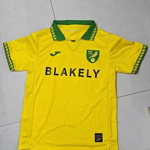 Norwich City 25/26 home jersey kit shirt