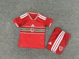 Welsh 2026 home kids jersey kit