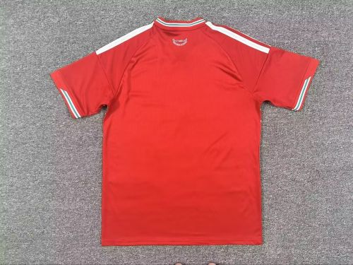 Welsh 2026 home jersey kit shirt