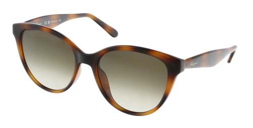 Salvatore Ferragamo SF1073S Cat Eye Full Rim Sunglasses