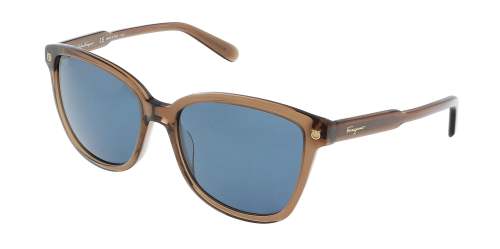 Salvatore Ferragamo SF815S Modified Rectangle  Sunglasses