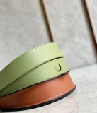目を惹くカラーロエベ ショルダーバッグ 偽物 レディース 2WAYハンド lof32843