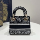 人気急上昇レディディオール 偽物 Plan de Paris レディ D-ライト ミニバッグ M0500OOMPM041