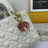 21AW新作 MY ABCDIOR レディ ディオール バッグ 偽物ラムスキン M0538ONGH_M030