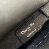 レディディオール コピー バッグ ミニ deu33375