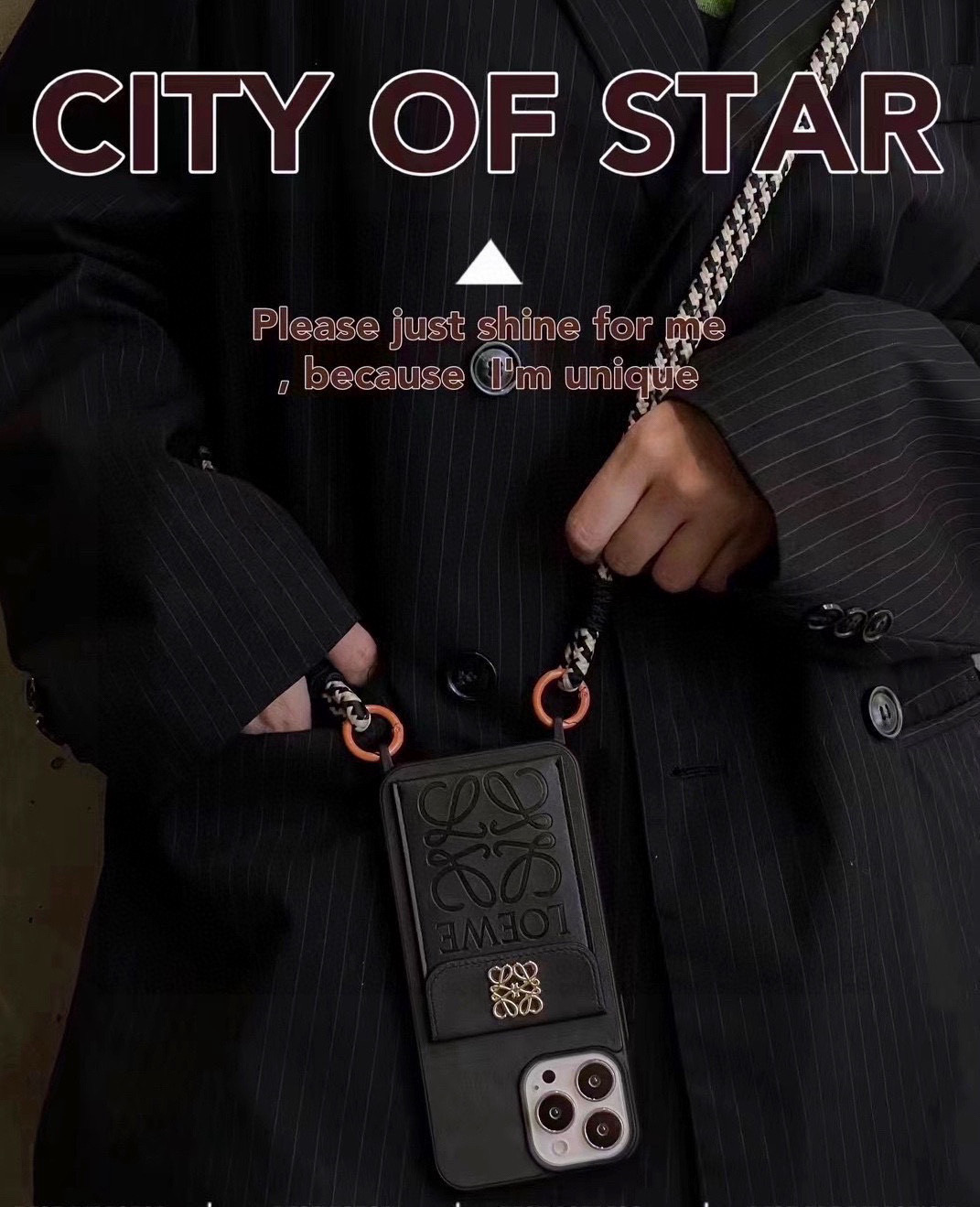 目を惹くカラー 2026 ロエベ 新作 iPhone ケース 全機種 販売 コピー