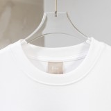 超限定♪ 2026 ディオール 新作 半袖Tシャツ スーパーコピー