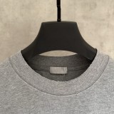 人気急上昇 2026 ディオール 新作 半袖Tシャツ スーパーコピー