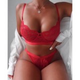 Transparent Panties And Bra Sets Underwear Panties