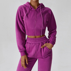 Cropped Zipper Hoodie Jogger Set Activewear Outfit