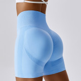 Premium Activewear Approved Sports Shorts002