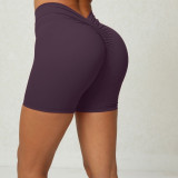 Premium Activewear Approved Sports Shorts011