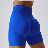Premium Activewear Approved Sports Shorts002