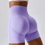 Premium Activewear Approved Sports Shorts002