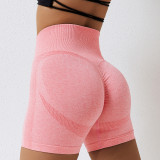 Premium Activewear Approved Sports Shorts002