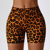 Premium Activewear Approved Sports Shorts018