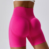 Premium Activewear Approved Sports Shorts002