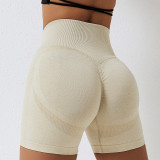 Premium Activewear Approved Sports Shorts002