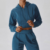 Cropped Zipper Hoodie Jogger Set Activewear Outfit