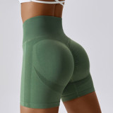 Premium Activewear Approved Sports Shorts002