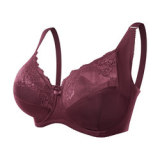 Plus Size Re-shaping Bras03