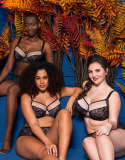New Arrival Summer Ultra-Thin Push-Up Bra In Lace