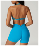 Halter Neck Beautiful Back  Quick Dry Fitness Yoga Bra