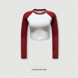 2024 New High Stretch Sexy Long Sleeve Cropped Top