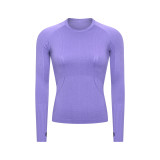2024 Causal Top Fashion Sport T-Shirt Seamless Yoga Top Slim Fit T-shirt