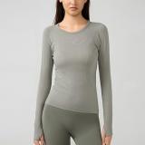 2024 Causal Top Fashion Sport T-Shirt Seamless Yoga Top Slim Fit T-shirt
